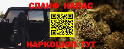 сатива Лесосибирск