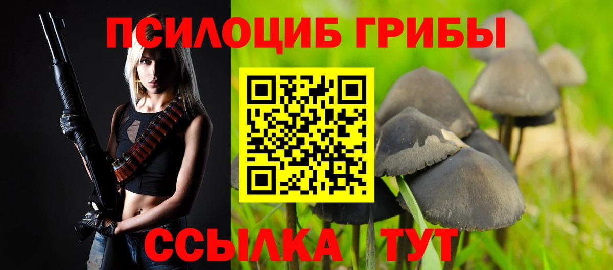 Псилоцибиновые грибы мицелий  Вход с VPN  Тюмень 